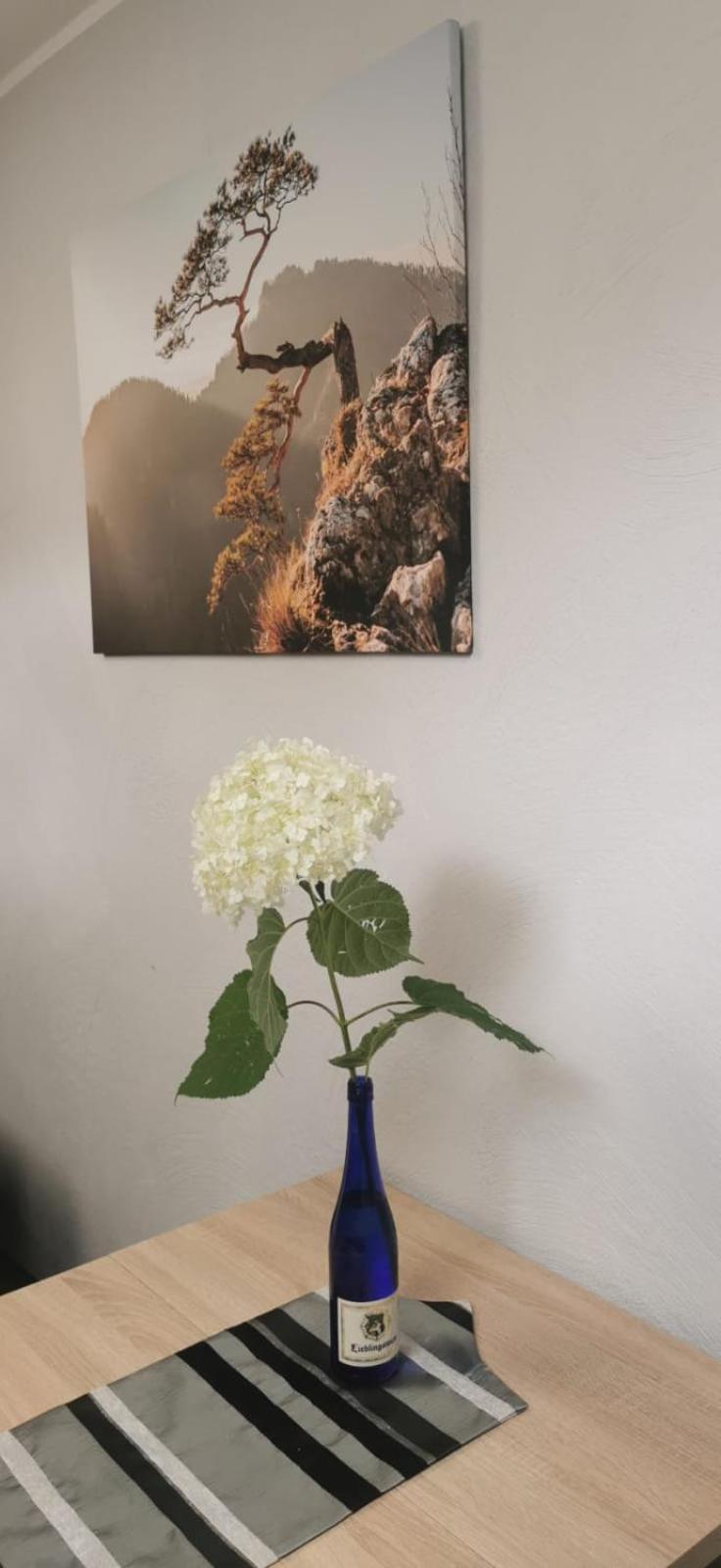Apartamenty Hejszowina Kudowa-Zdrój Exteriör bild