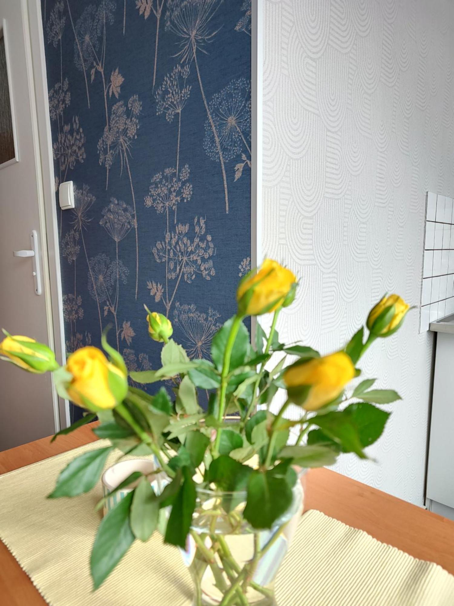 Apartamenty Hejszowina Kudowa-Zdrój Exteriör bild
