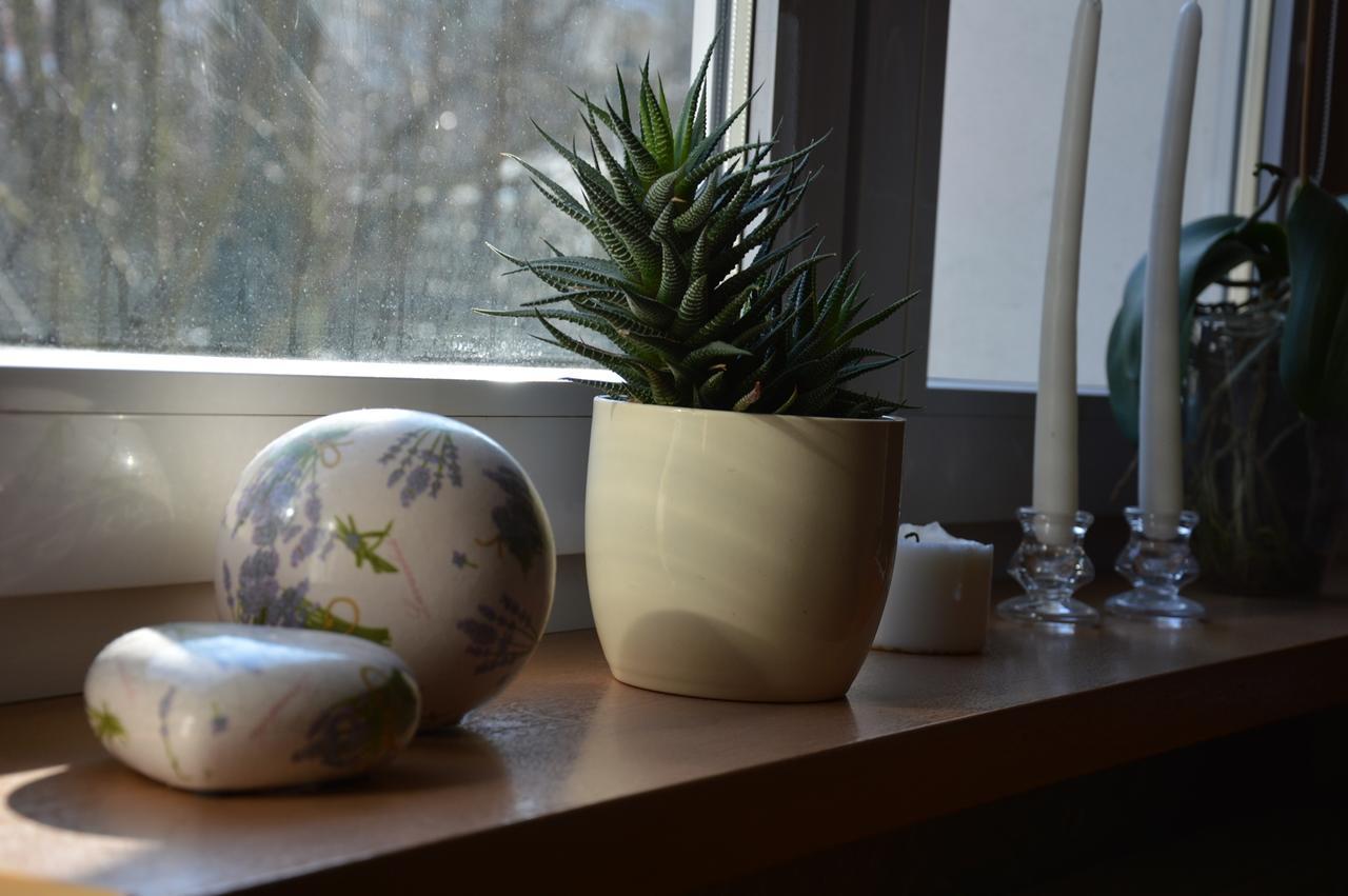 Apartamenty Hejszowina Kudowa-Zdrój Exteriör bild